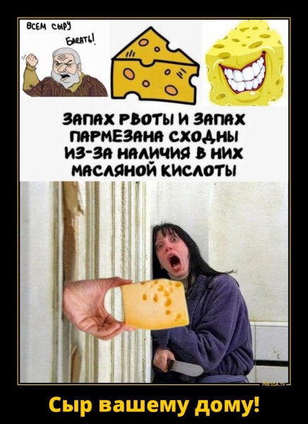 Сыр