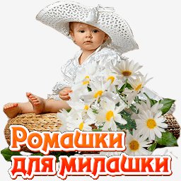 picture_165694883