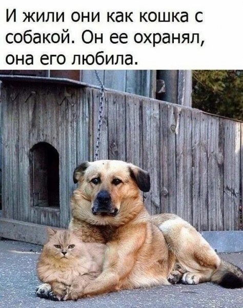 Так!