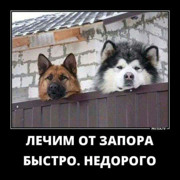 Недорого