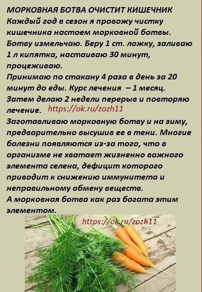Морковная ботва