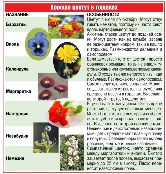 На заметку