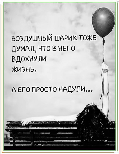 36D99619DA2E22F9E