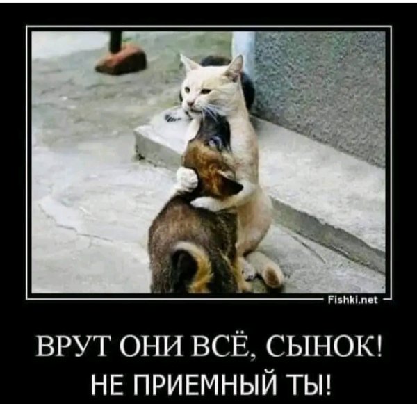 FB IMG 17087989638814879