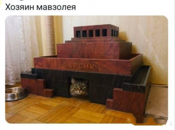 Барсик