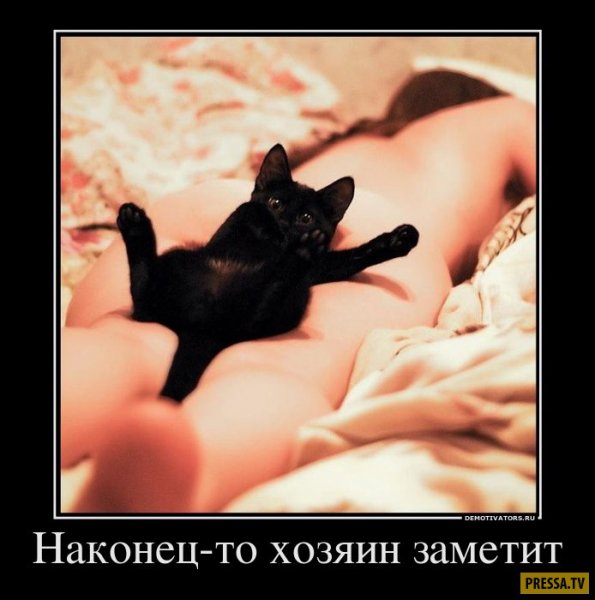 Заметил