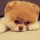 skype 5.8.66.158