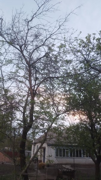 picture_412166096