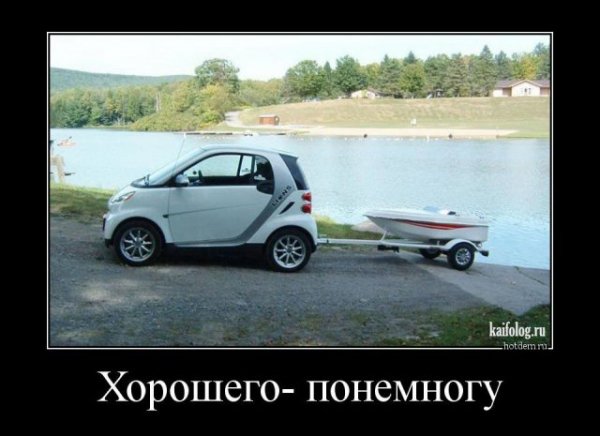 picture_399874530