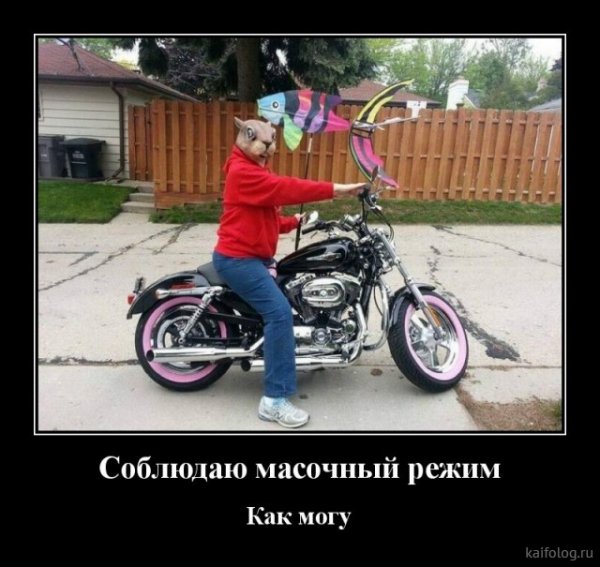 picture_379477890