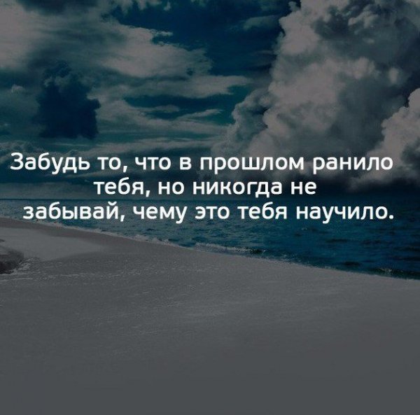Цитата (428)