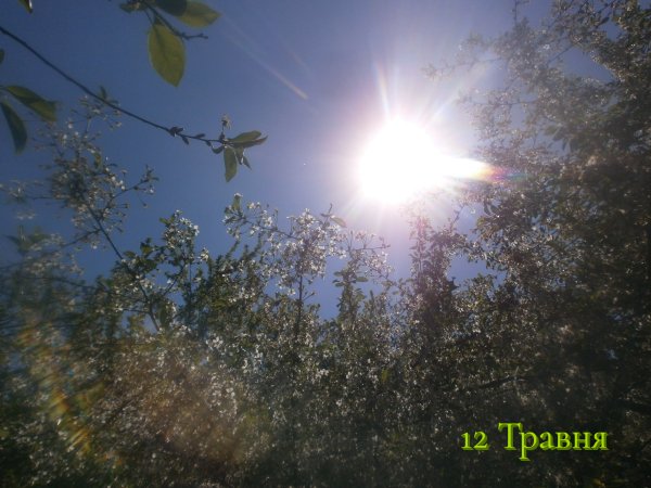 12 Травня