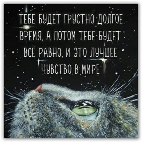 image (2) (23)