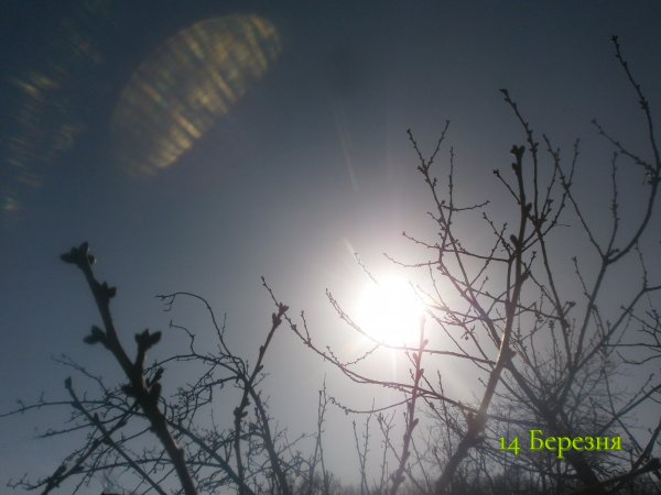 14 Березня