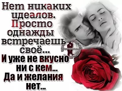 picture_213186950