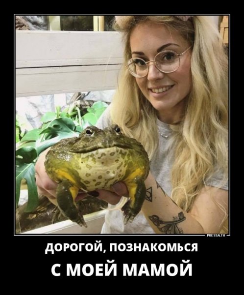 Дорогой, познакомься
