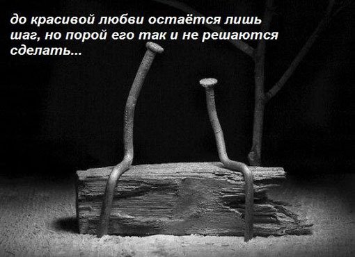 aforizm primer 14