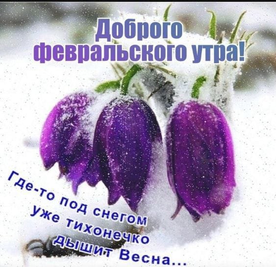 IMG-20220219-WA0044