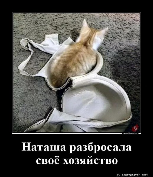 picture_406669468