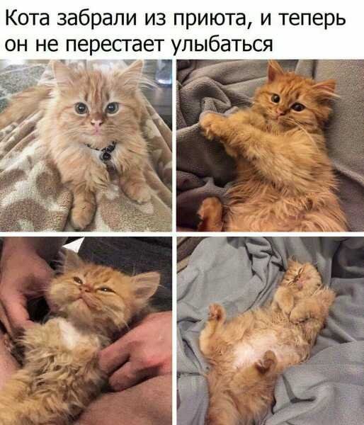 picture_293667830