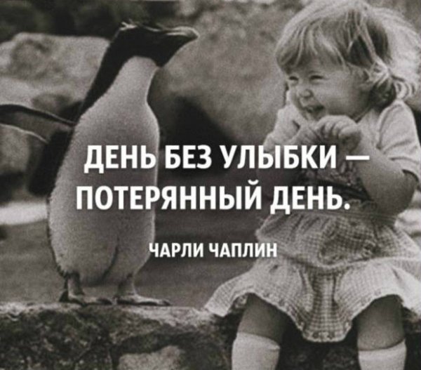 IMG 20200726 173343 101
