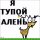 autodvr233 crk Said-