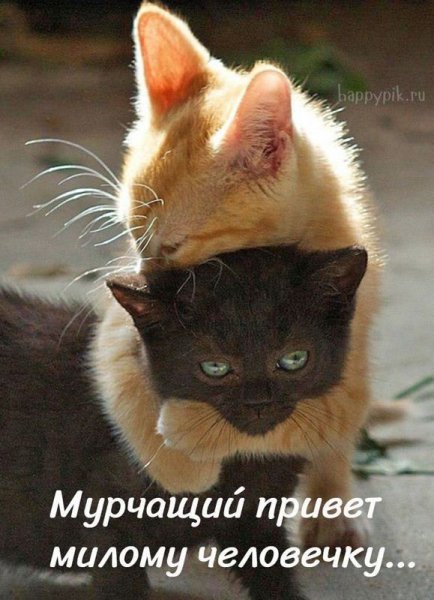 f83b8b18a0aa323493d86ade889