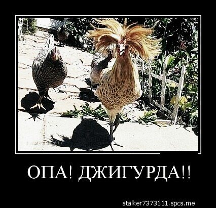 демотиваторы 084543