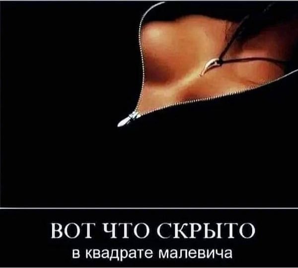 A9b74e6f55 19538388