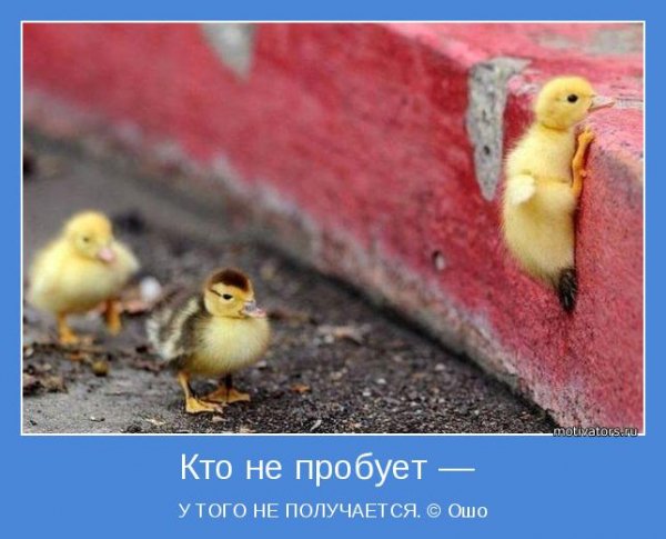 motivatori interesnie-19