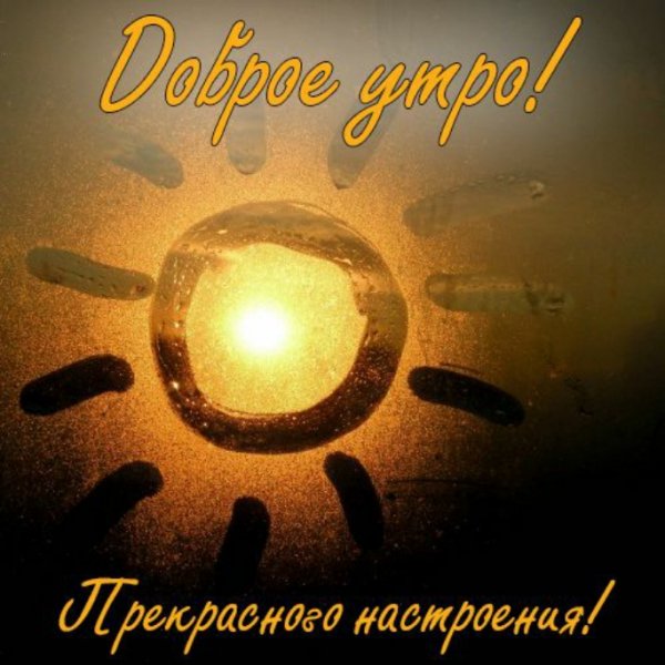 IMG-20210325-WA0004