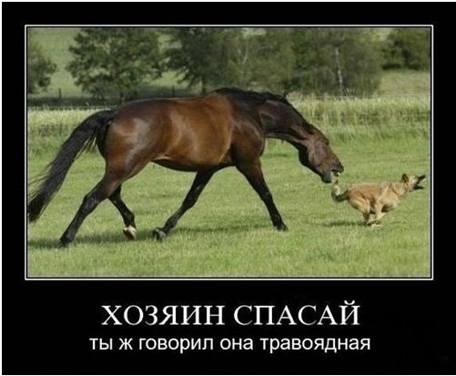 Опаньки!