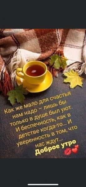 IMG-20210218-WA0000