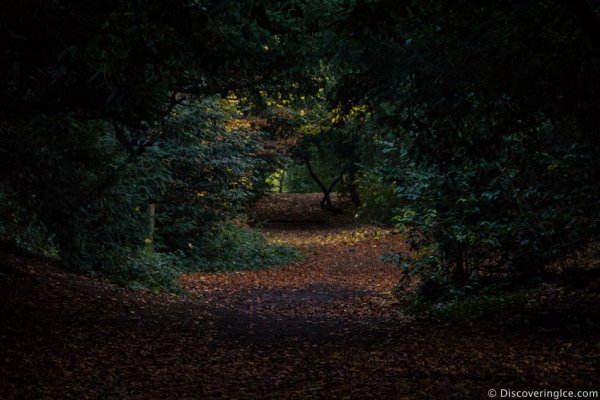 The-Park-In-Lincoln-Lincolnshire-England