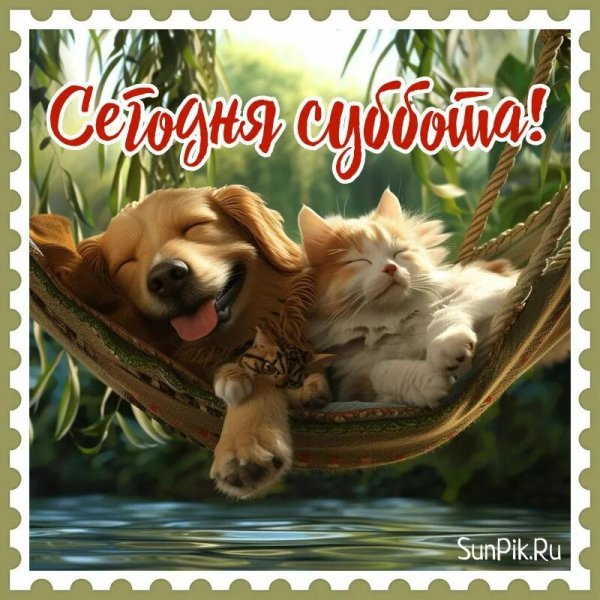 Отдыхаем!