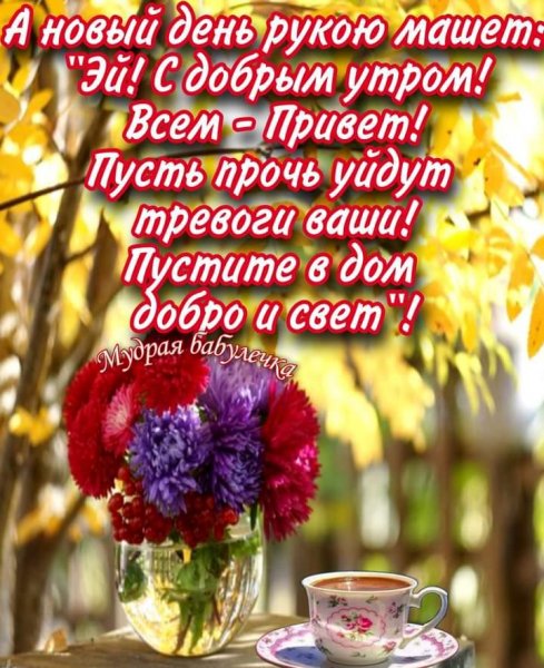 IMG-20210925-WA0022