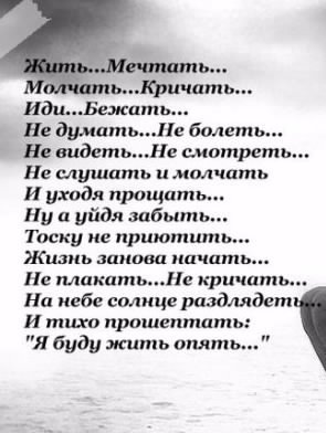 0 7301b b491e6d5 xl