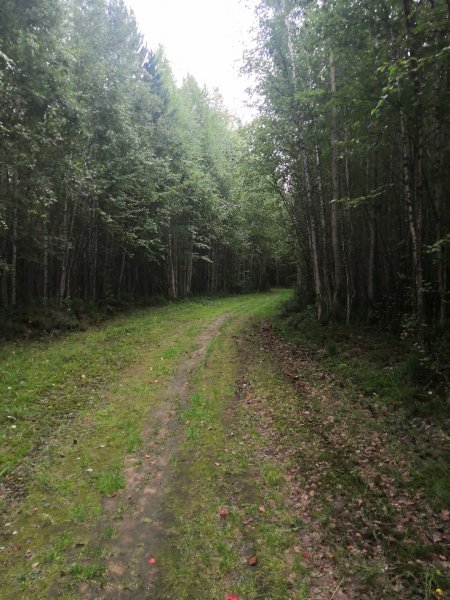 IMG 20200817 171352