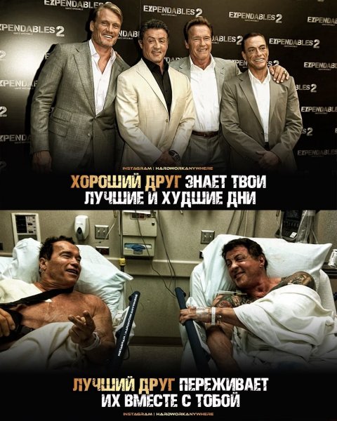 -134500636