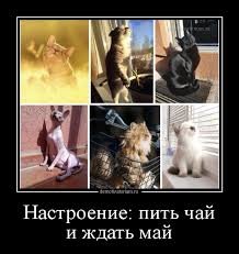 pics