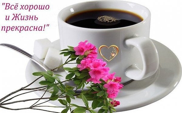 IMG 20160715 090212 3