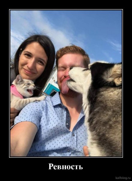 picture_380790716