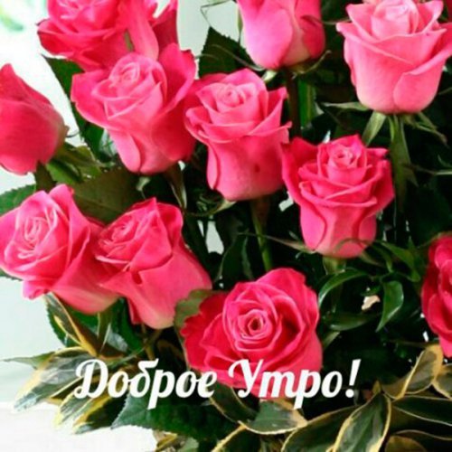 доброе утро