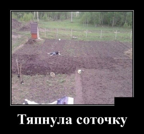pics