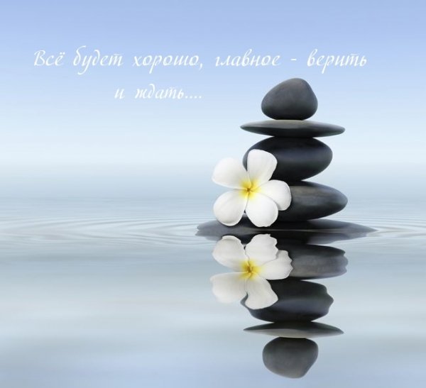 images 15146