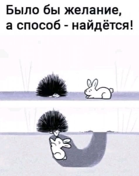 FB IMG 16983243667703660