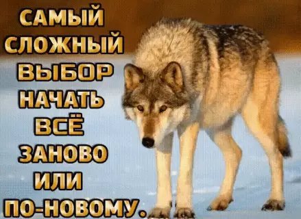 picture_215087431