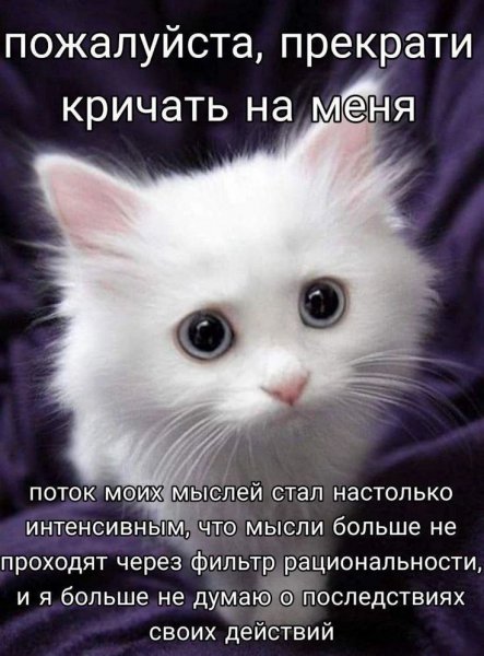 picture_412682102