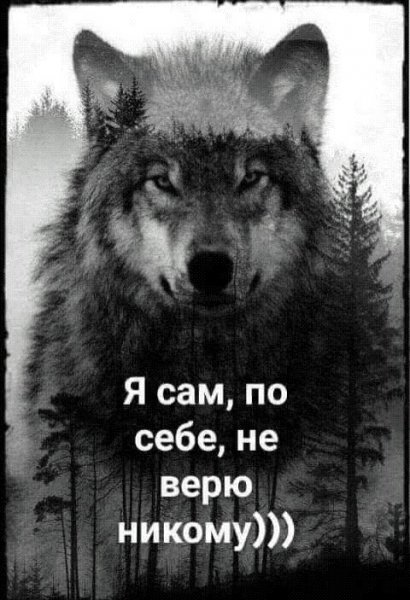 IMG 20210205 024123