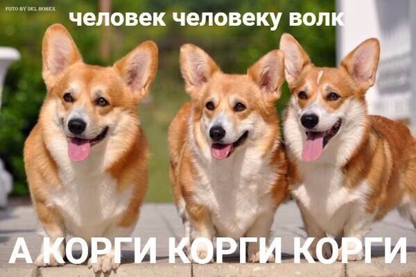 Да!!!